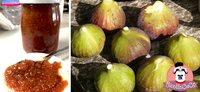 Marmellata di fichi con buccia senza zucchero con il Cuisine Companion