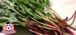 beta vulgaris maritima ricetta bietola selvatica marittima erbe spontanee salento microonde monsier cuisine moncu moulinex cuisine companion ricette cuco bimby