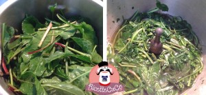 beta vulgaris maritima ricetta bietola selvatica marittima erbe spontanee salento microonde monsier cuisine moncu moulinex cuisine companion ricette cuco bimby